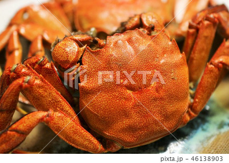 茹でたモクズカニ 茹でたモクズカニ 46138903