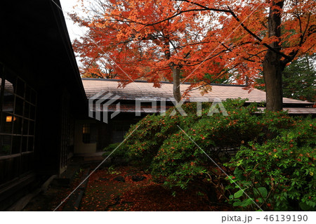 紅葉の一ノ倉邸 紅葉の一ノ倉邸 46139190