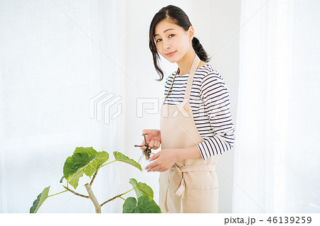 観葉植物に水をあげる女性 観葉植物に水をあげる女性 46139259