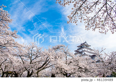 福島県会津若松 鶴ヶ城と桜 福島県会津若松 鶴ヶ城と桜 46139489