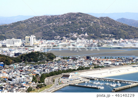 桜満開の名草山 46140229