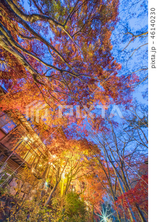 岩谷堂公園の紅葉 46140230