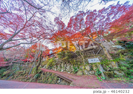 岩谷堂公園の紅葉 46140232
