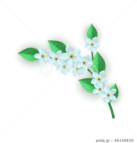 Vector illustration of floral composition with branch of white flowers with green leaves. Vector illustration of floral composition with branch of white flowers with green leaves. 46140630