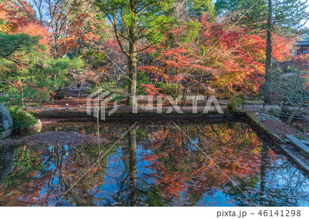曽木公園もみじまつり 曽木公園もみじまつり 46141298