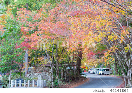 大矢田神社の紅葉 46141862
