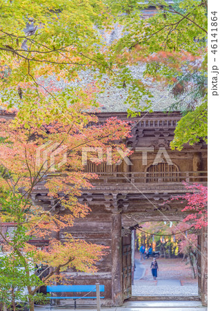 大矢田神社の紅葉 46141864