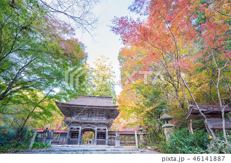 大矢田神社の紅葉 46141887