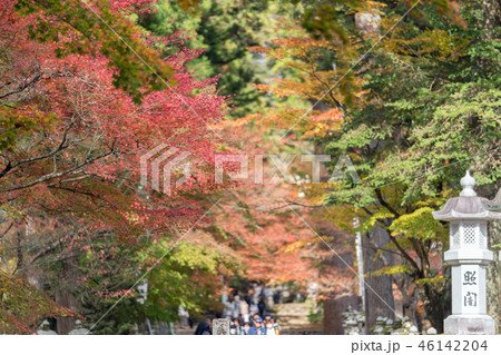 谷汲山華厳寺の紅葉 46142204