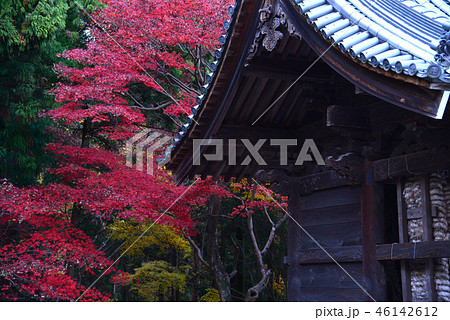 四国霊場82番札所根香寺山門紅葉3（高松市中山町） 46142612