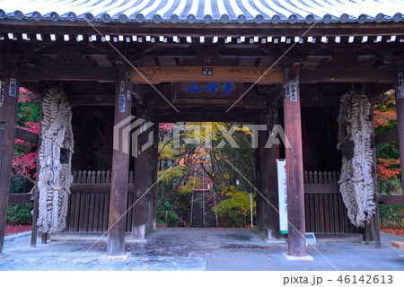 四国霊場82番札所根香寺山門紅葉4（高松市中山町） 46142613