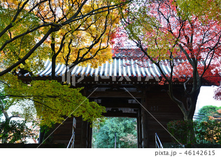 四国霊場82番札所根香寺山門紅葉6（高松市中山町） 46142615