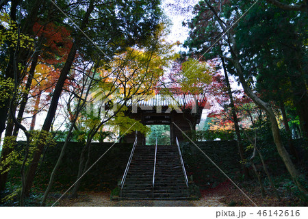 四国霊場82番札所根香寺山門紅葉7（高松市中山町） 46142616