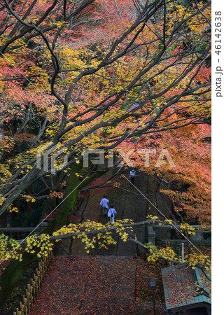 四国霊場82番札所根香寺とお遍路さん紅葉17（高松市中山町） 46142638