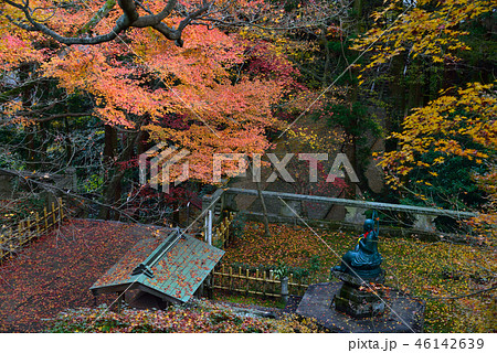四国霊場82番札所根香寺紅葉18（高松市中山町） 46142639