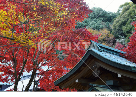 四国霊場82番札所根香寺紅葉19（高松市中山町） 46142640