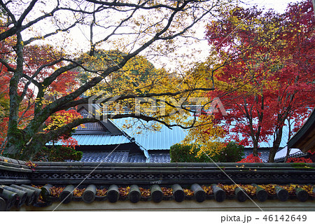 四国霊場82番札所根香寺紅葉21（高松市中山町） 46142649