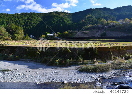 稲立て1 (高知県土佐郡土佐町) 稲立て1 (高知県土佐郡土佐町) 46142726