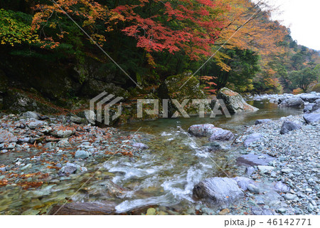 安居渓谷紅10　乙女河原　（高知県吾川郡仁淀川町） 46142771