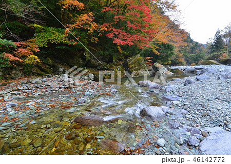 安居渓谷紅葉11 乙女河原 高知県吾川郡仁淀川町 の写真素材