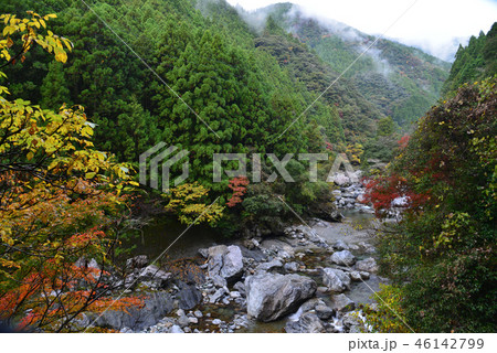 安居渓谷紅葉30 高知県吾川郡仁淀川町 の写真素材