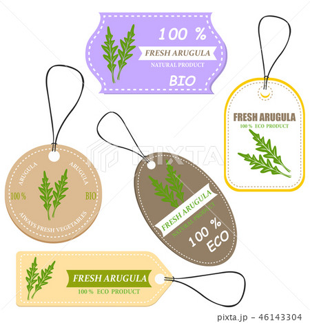 Fresh arugula sketch card with discount Fresh arugula sketch card with discount 46143304