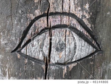 Inlaid eye on the bark of a tree Inlaid eye on the bark of a tree 46144866