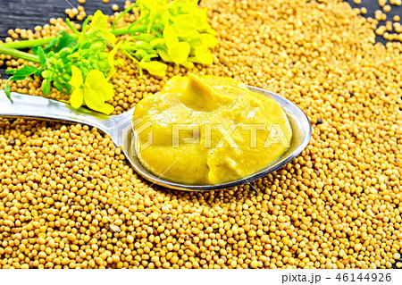 Sauce mustard in spoon with flower on seeds Sauce mustard in spoon with flower on seeds 46144926