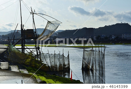 今津川のシロウオ漁 46145399