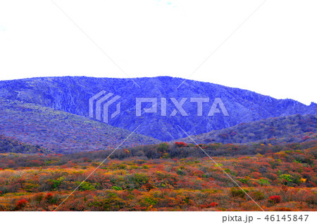 きれい 背景 風景 46145847
