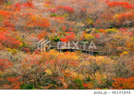 きれい 背景 風景 46145848