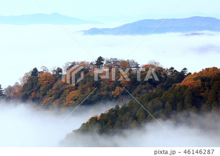 天空の城3361 46146287