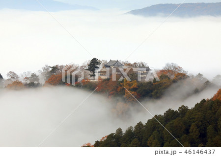 天空の城3283 46146437
