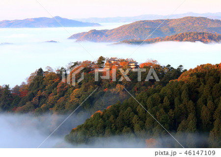 天空の城2323 46147109