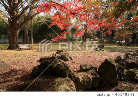 内みのわ運動公園・日本庭園(君津市) 46149241