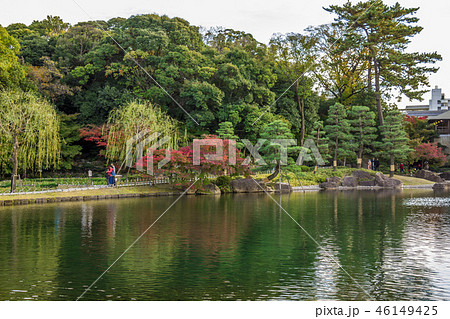愛知県 名古屋市 徳川園の紅葉 愛知県 名古屋市 徳川園の紅葉 46149425