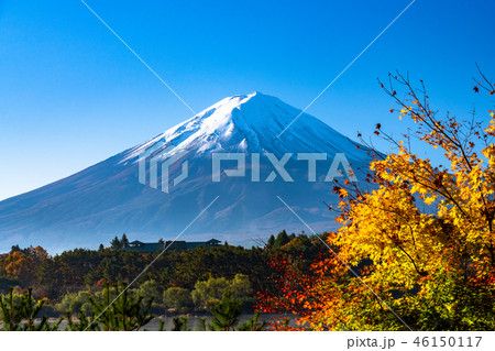 《山梨県》日本の秋・富士山と紅葉 46150117