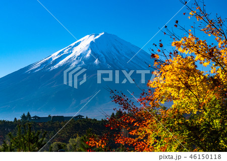 《山梨県》日本の秋・富士山と紅葉 《山梨県》日本の秋・富士山と紅葉 46150118