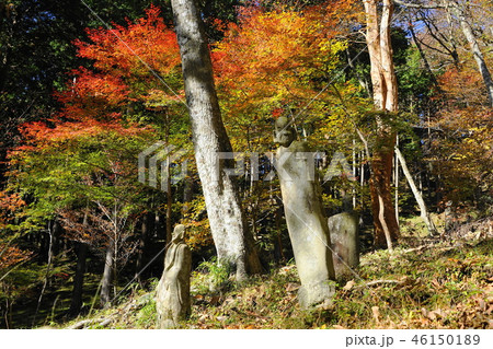 11月 箱根84長安寺・五百羅漢の紅葉 11月 箱根84長安寺・五百羅漢の紅葉 46150189