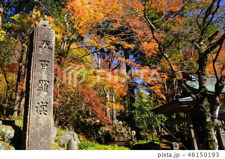 11月 箱根80長安寺・五百羅漢の紅葉 11月 箱根80長安寺・五百羅漢の紅葉 46150193