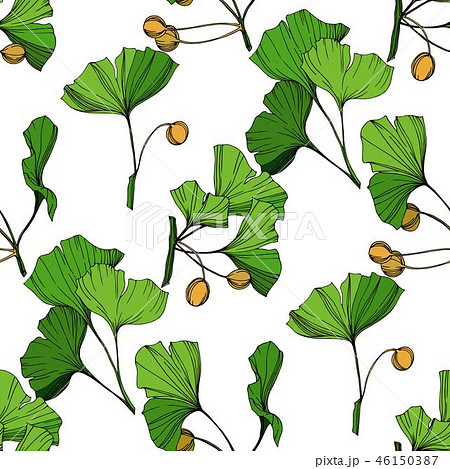 Vector Green ginkgo leaf. Engraved ink art. Seamless background pattern. Fabric wallpaper print Vector Green ginkgo leaf. Engraved ink art. Seamless background pattern. Fabric wallpaper print 46150387