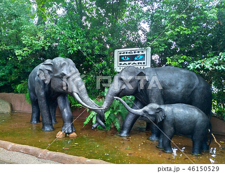 シンガポール ナイトサファリ 象の像 Singapore Night Safari Elephant 46150529