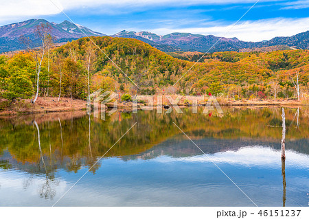 《長野県》乗鞍高原・まいめの池《秋》 46151237