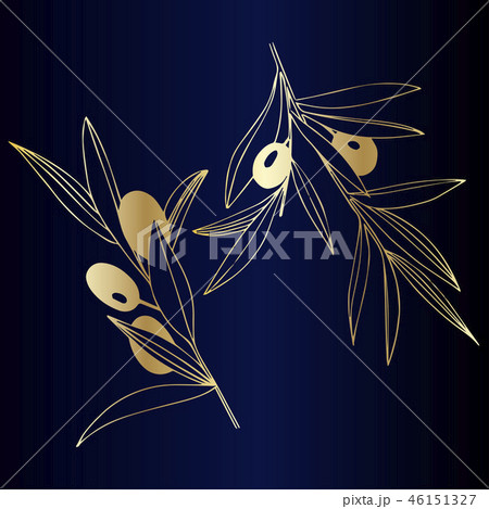 Vector Golden olive branch. Plant botanical foliage. Golden engraved ink art. Isolated olive 46151327