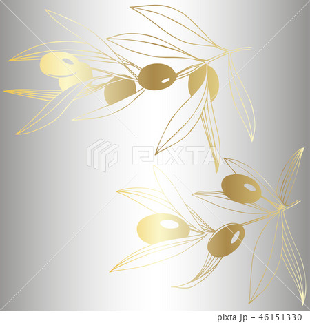 Vector Golden olive branch. Plant botanical foliage. Golden engraved ink art. Isolated olive 46151330