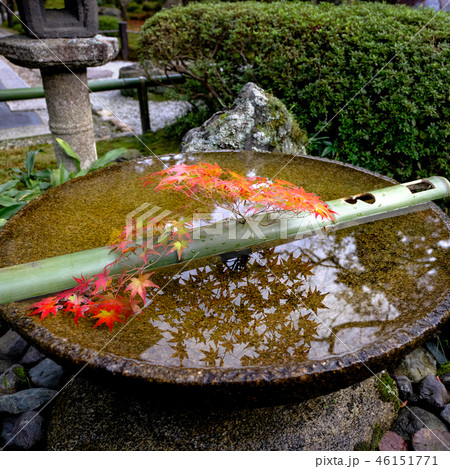 圓光寺の水琴窟 圓光寺の水琴窟 46151771