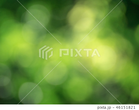 Green bokeh from light bushes in nature. 46151821