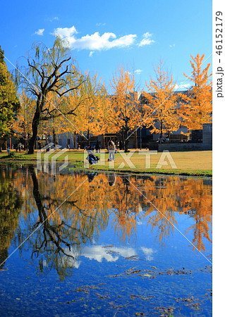 鳳来寺山の紅葉 鳳来寺山の紅葉 46152179