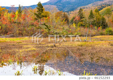 《長野県》秋の乗鞍高原 46152293