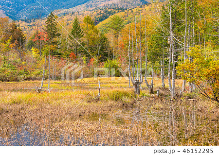 《長野県》秋の乗鞍高原 46152295